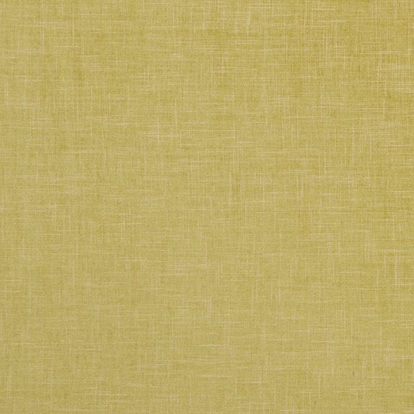 Albany and Moray Albany Citron Cushions