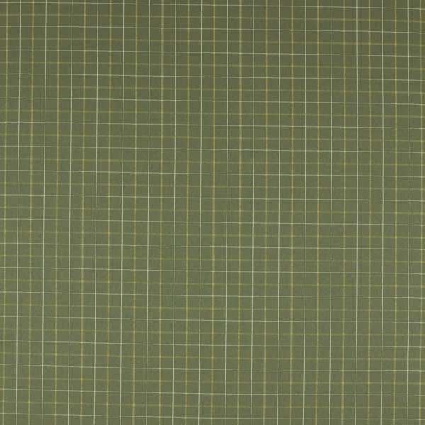 Clarke & Clarke Burlington Thornton Moss Curtains